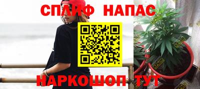 мяу мяу мука Бугуруслан